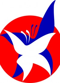 izobrazitelnoe-iskusstvo-i-dekorativno-prikladnoe-tvorchestvo_298.jpg