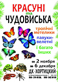 kopiya_krasuni_zap_m59f98967d02af.jpg
