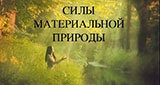 kopiya_le_youwmsnf_y.jpg