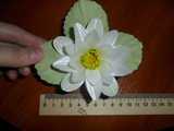 kopiya_p9n15qo5cwc.jpg
